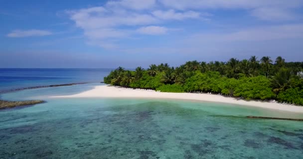 Litoral Com Praia Branca Brilhante Vegetação Exuberante Viagem Verão Austrália — Vídeo de Stock