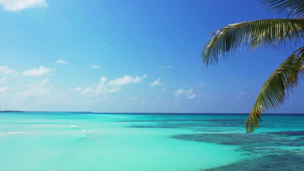 Морська Пляма Острова Рай Літня Подорож Домініканської Республіки Кариби — стокове відео