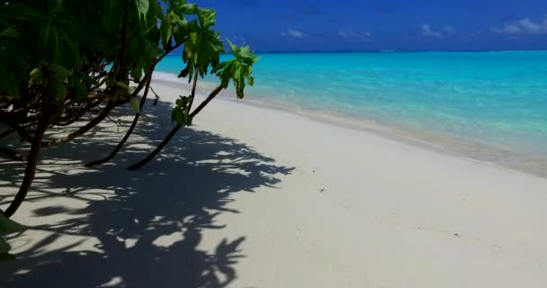 Mirando Desde Playa Orilla Del Mar Naturaleza Exótica Bora Bora — Vídeos de Stock