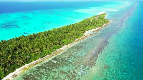 鮮やかなターコイズブルーの熱帯の海辺 ドミニカ共和国の日当たりの良い自然 カリブ海 — ストック動画
