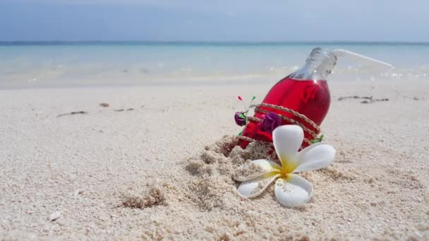 Cocktail Glass Bottle Straw Plumeria Flower Beach Summertime Paradise Dominican — Vídeos de Stock
