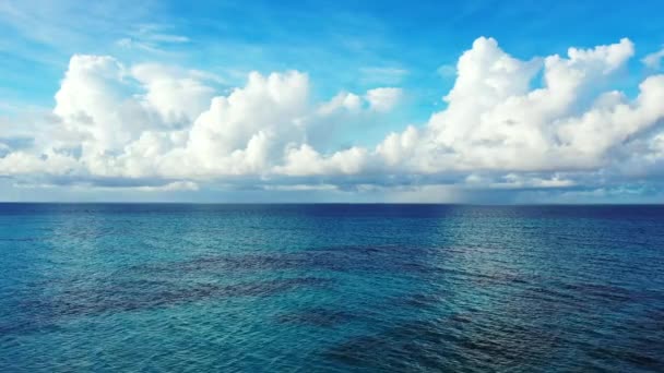 Marinhas Inocentes Brilhantes Natureza Exótica Bora Bora Polinésia Francesa — Vídeo de Stock