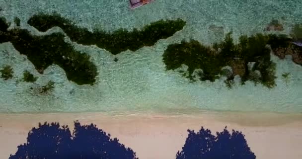 Widok Wybrzeże Wodorostami Morskimi Dole Letnia Sceneria Republice Dominikany Karaiby — Wideo stockowe