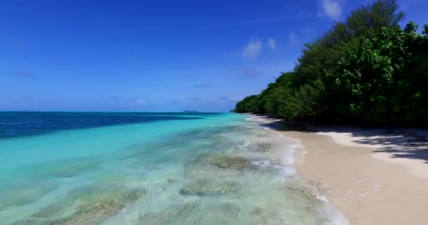 Shoreline Com Mar Azul Turquesa Verão Relaxar Maldivas Sul Ásia — Vídeo de Stock