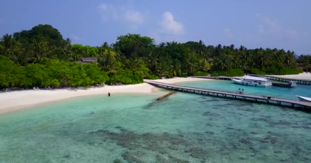 Seaside Sunny Daytime Tropical Paradise Bora Bora French Polynesia — Stock Video