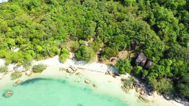 Zielona Wyspa Turkusowym Morzem Letnia Wycieczka Malediwy — Wideo stockowe
