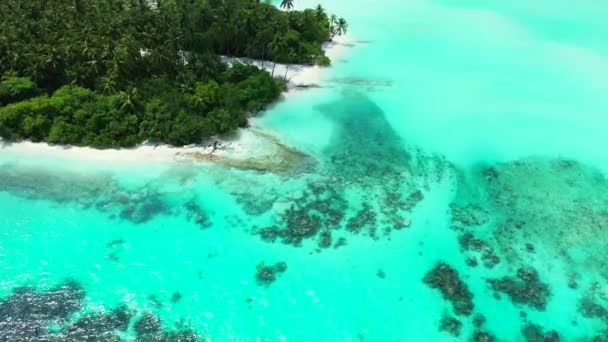 Prachtig Uitzicht Groen Eiland Met Blauw Water Vakantie Het Caribisch — Stockvideo