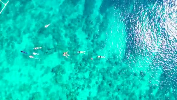 Turistas Nadando Buceando Aguas Turquesas Paisajes Marinos Verano Bali Indonesia — Vídeo de stock