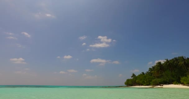 Isla Bordeada Por Mar Transparente Claro Escena Vacaciones Verano Tailandia — Vídeos de Stock