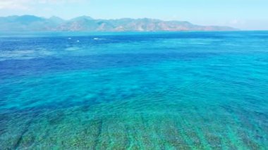 Tropik deniz gündüz görüntüsü. Barbados, Karayiplerin güneşli doğası. 