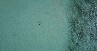 Sahilde şeffaf su var. Jamaika, Karayipler 'in Doğa Sahnesi.