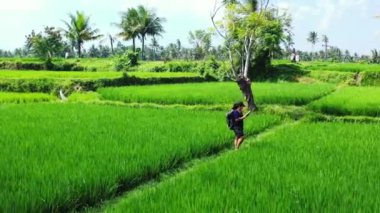 Sırt çantalı bir kadının pirinç tarlasında yürüyüşünün hava görüntüsü.