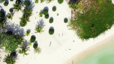 Issız ağaçlarla dolu bir ada manzarası. Avustralya, Okyanusya 'da yaz tatili.