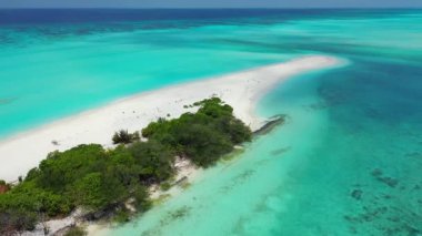 Adanın etrafındaki parlak turkuaz deniz. Barbados, Karayipler 'e egzotik yolculuk. 