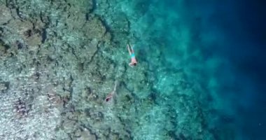 İnsanlar denizde şnorkelle yüzmekten zevk alıyor. Bali 'nin tropikal doğası.