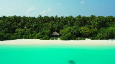Kıyıda palmiyeler olan açık yeşil bir deniz. Ko Samui, Tayland Tatili.