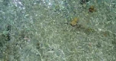 Dalgalı deniz yüzeyi manzarası. Tayland 'da boş zaman. 