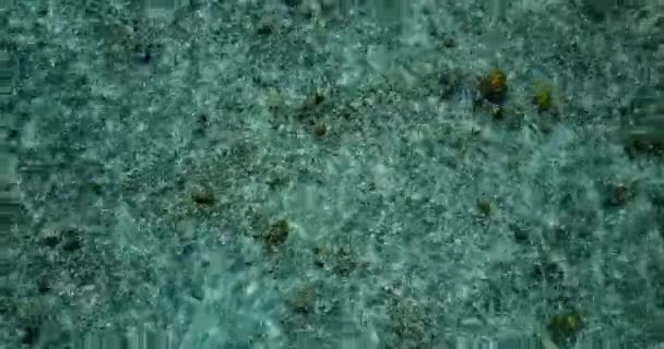 Dichtbij Zicht Rimpelende Zee Natuur Van Bali Indonesië — Stockvideo