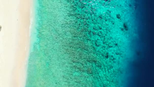 Atemberaubende Luftaufnahme Des Türkisfarbenen Wassers Auf Den Tropischen Malediven Reise — Stockvideo