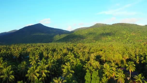 覆盖着绿色棕榈树的山脉 前往泰国Koh Samui的异国情调之旅 — 图库视频影像