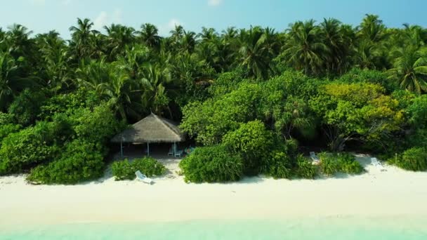 海辺のエリアを観察 ドミニカ共和国 カリブ海の夏の熱帯の風景 — ストック動画