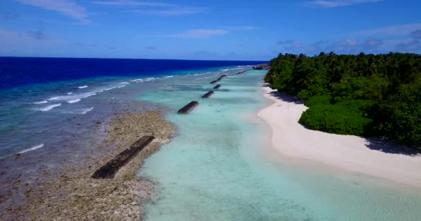 Exotisch Karakter Van Bora Bora Frans Polynesië — Stockvideo