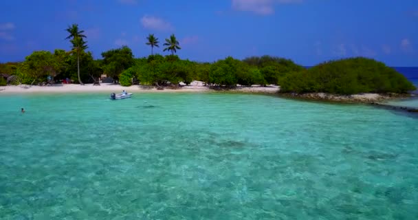 Paisaje Isla Día Situación Naturaleza Tropical Jamaica Caribe — Vídeo de stock