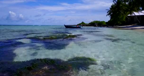 Patrząc Plaży Nad Morzem Egzotyczny Charakter Bora Bora Polinezja Francuska — Wideo stockowe