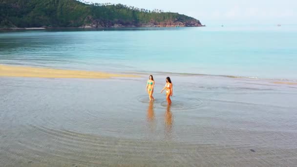 Twee Jonge Vriendinnen Bikini Wandelend Zeewater Mooie Vrouwen Rustend Tropisch — Stockvideo