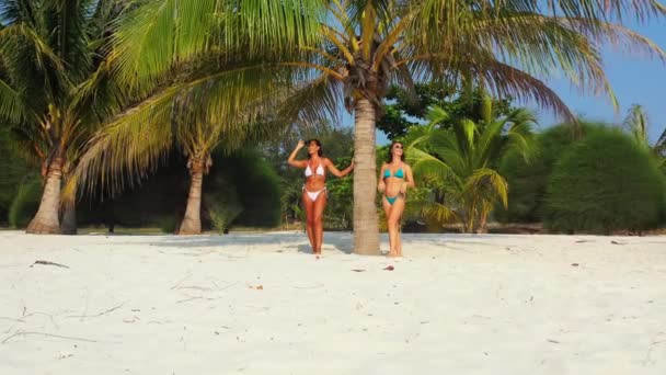 Deux Jeunes Amies Bikini Debout Sur Côte Sablonneuse Sous Palmier — Video