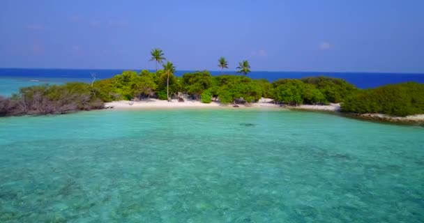 청록색 바다가 프랑스령폴리네시아의 보라에 — 비디오