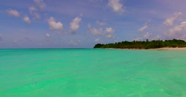 Mar Tortuga Brillante Isla Disfrutando Vacaciones Tropicales Bali Indonesia — Vídeo de stock