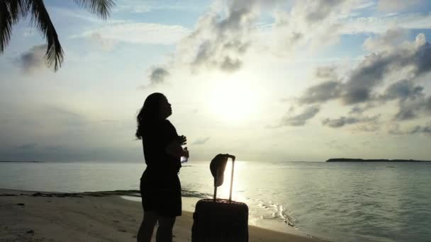 日落时分站在热带海滩上提着手提箱的女人 — 图库视频影像