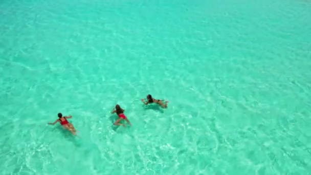 Flygfoto Över Vackra Unga Flickor Som Simmar Tropisk Strand — Stockvideo