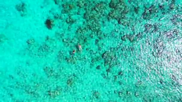 Touristen Schnorcheln Türkisfarbenen Meer Exotischer Urlaub Auf Den Malediven Südasien — Stockvideo