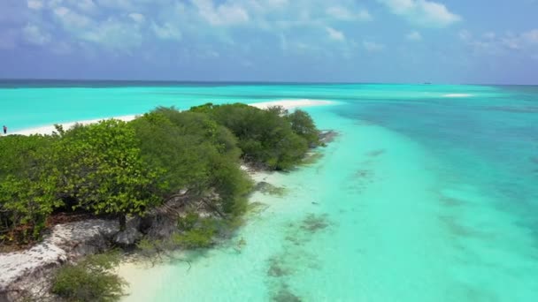 Doğu Karayipler Adalarındaki Tropikal Plajın Insansız Hava Aracı Görüntüsü — Stok video