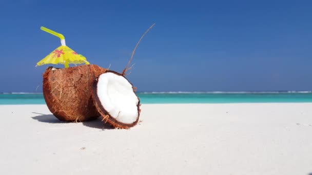 Reife Süße Kokosnuss Klaren Strand Aussichtsreiche Aussicht Auf Das Meer — Stockvideo