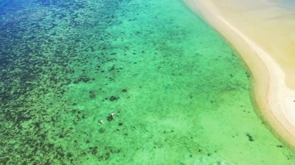 人々は海でシュノーケリング バハマ カリブ海での熱帯の休暇 — ストック動画