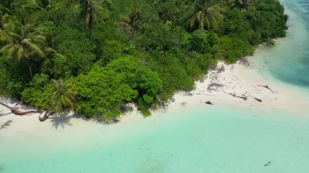 Shallow Turquoise Water Green Island Summer Trip Dominican Republic Caribbean — Stock Video