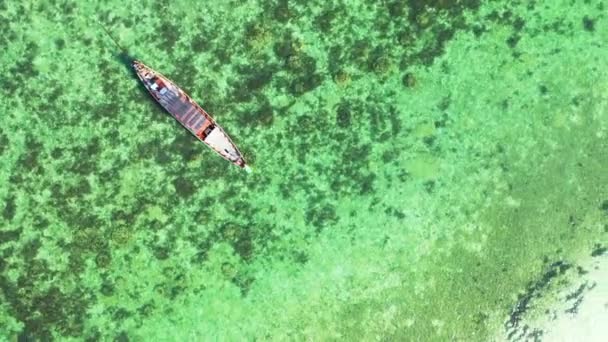 透明なターコイズブルーの海の水を通して見る底の海草のパッチ インドネシア バリのエキゾチックな自然シーン — ストック動画