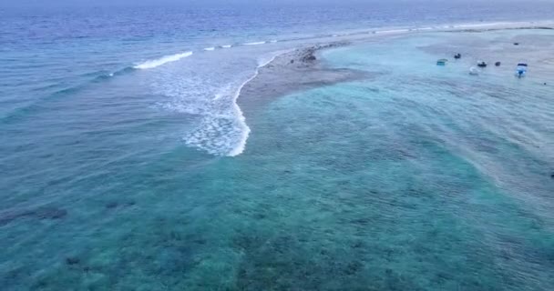 Olhando Para Ondas Corrida Longa Dia Sombrio Viagem Verão Austrália — Vídeo de Stock