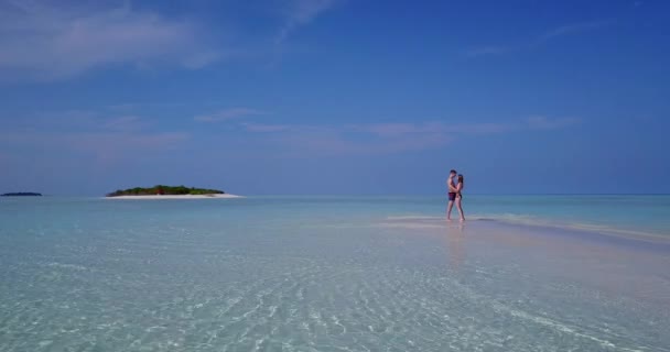 Feliz Pareja Romántica Playa Tropical — Vídeo de stock