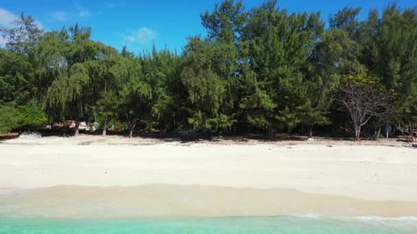 Kirkas Valkoinen Ranta Vihreä Saari Kesämatka Dominikaaniseen Tasavaltaan Karibialle — kuvapankkivideo
