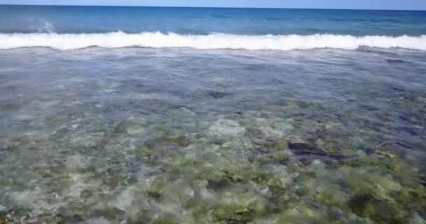 Mar Chuvoso Praia Viagem Barbados Caribe — Vídeo de Stock