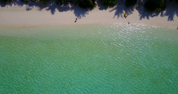 Toeristen Wandelen Tropisch Strand Zomer Scene Bali Indonesië — Stockvideo