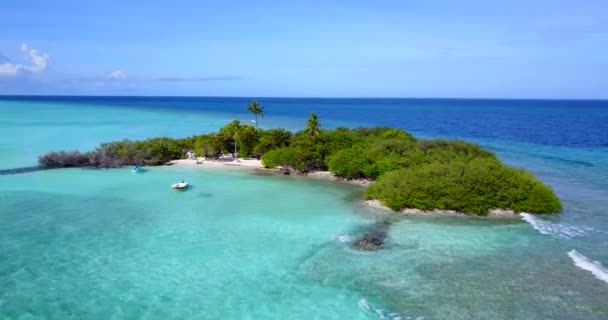 Observing Seaside View Drone Enjoying Nature Dominican Republic Caribbean — Video Stock