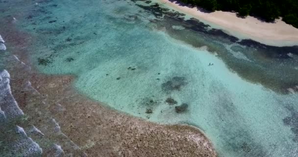 在清澈的海水中可以看到底部的海岸线 巴厘的放松 — 图库视频影像