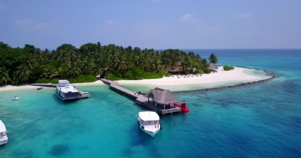 热带岛屿上的木制码头 马尔代夫之行 — 图库视频影像