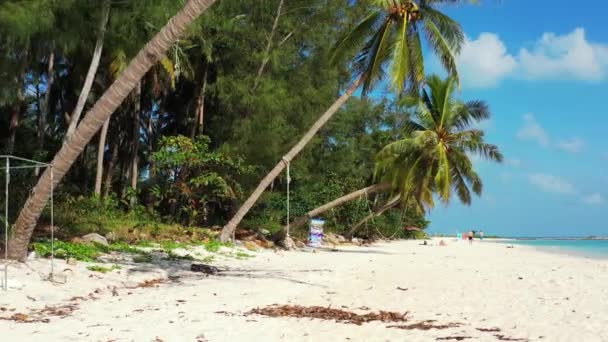Groene Palmen Aan Tropische Kust Landschap Van Jamaica Caribisch Gebied — Stockvideo