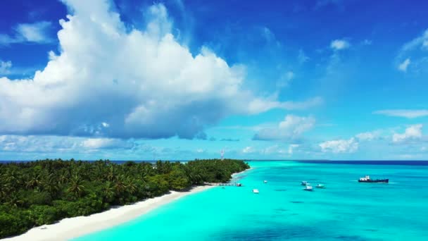 Turuoise Deniz Manzarası Jamaika Karayipler Doğa Sahnesi — Stok video